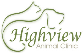 Highview Animal Clinic